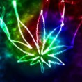 /album/fotogaleria/que-marihuana-va-ser-legalizada-l-m6ehuc-jpeg/