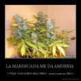 /album/fotogaleria/desmotivaciones-mx-la-marihuana-me-da-amnesia-y-otras-cosas-que-no-me-acuerdo-jajajaja-creado-por-kmilo-134136426512-jpg/