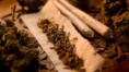 /album/fotogaleria/marihuana-1-jpg/